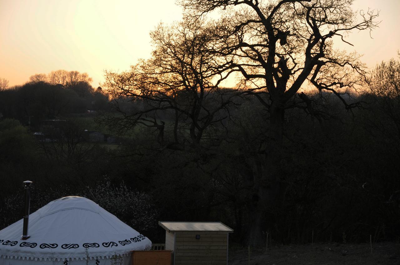 Hotel Glamping On The Hill Mells Exteriér fotografie